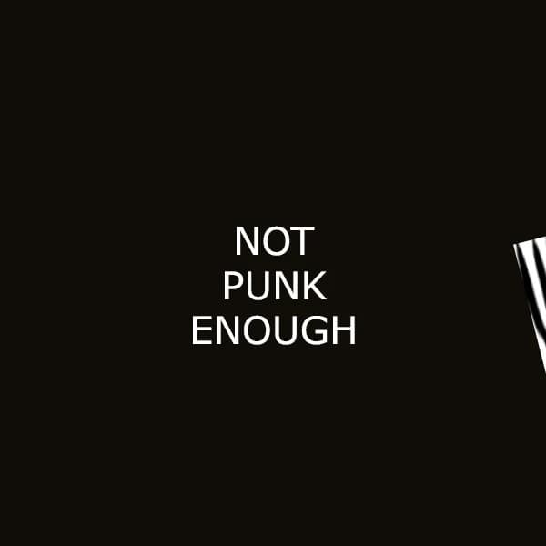 Not Punk Enough