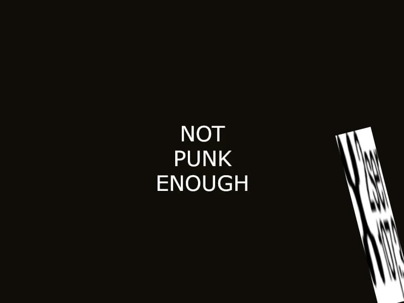 Not Punk Enough