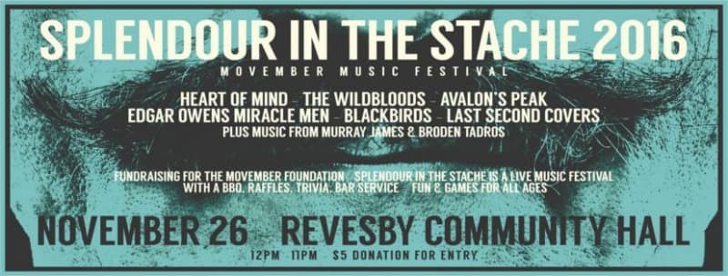 Splendour in the ‘Stache