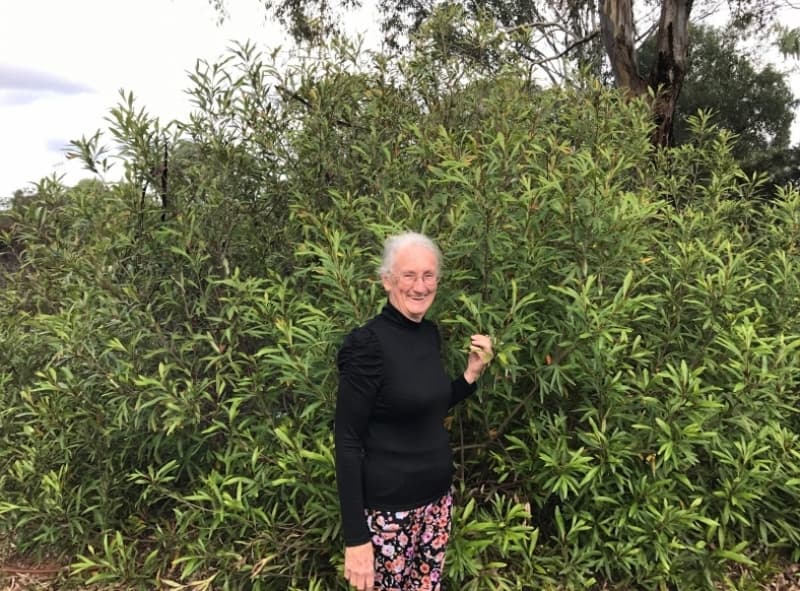 A legal regime to protect Aboriginal knowledge