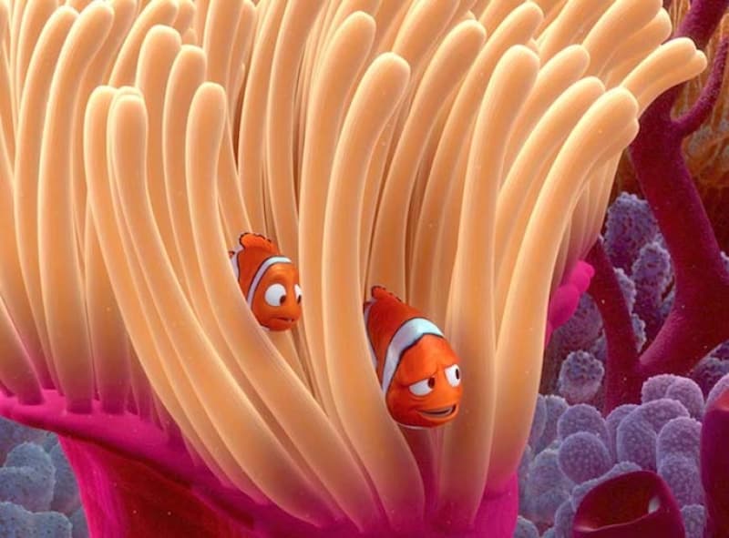 Why is Nemo sharing his anemone home?