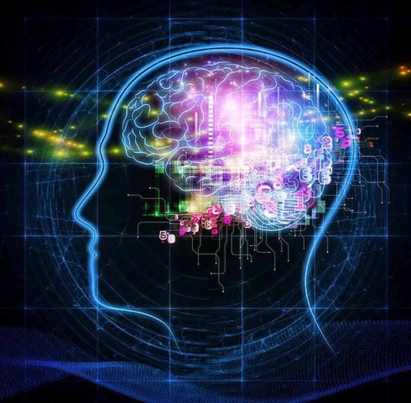 Premature babies a challenge for nurses and parents