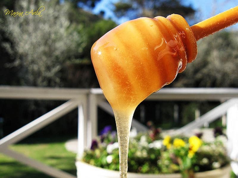 EXTRA: Could Manuka honey treat infection?