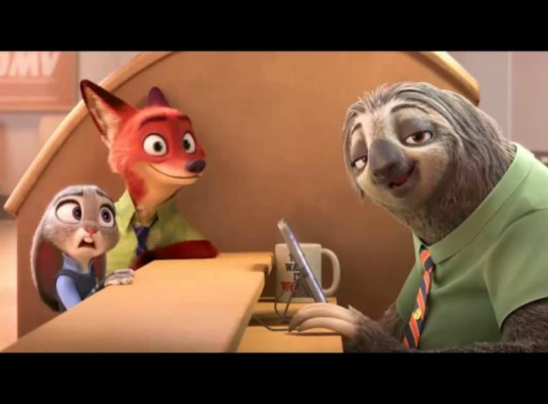 Battle of the pets – who’s the most sustainable?