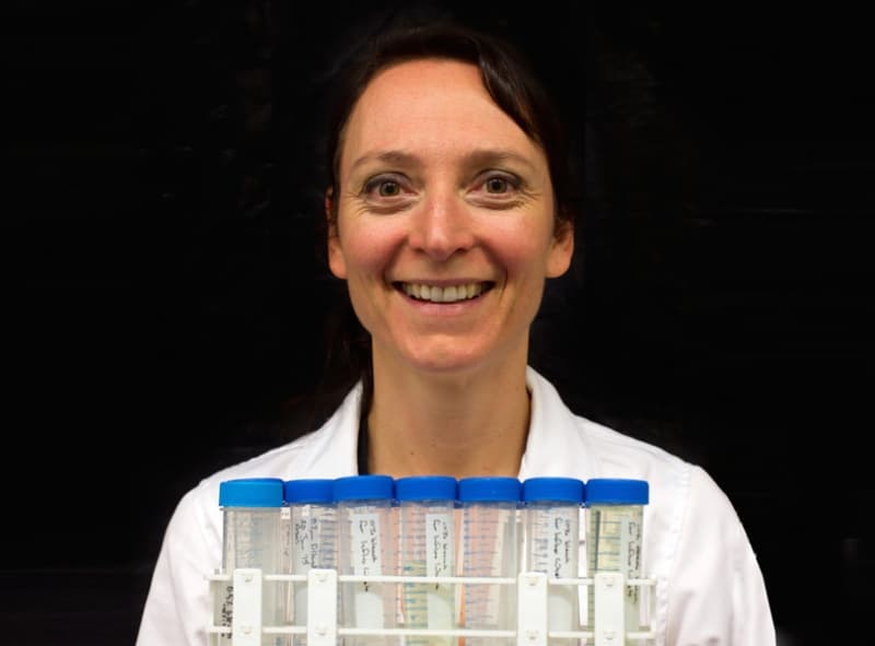 Showcasing women in STEM