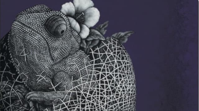 Tuesday Book Club: Hollow Heart by Viola di Grado