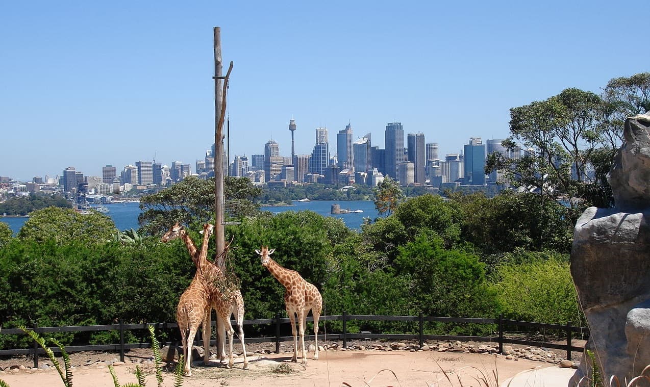 Taronga Zoo Wildlife Retreat
