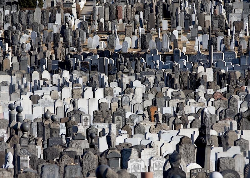 What will you do with your body when you die?