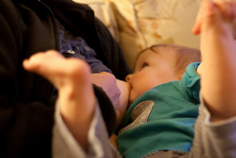 New app to help parents feed baby for life