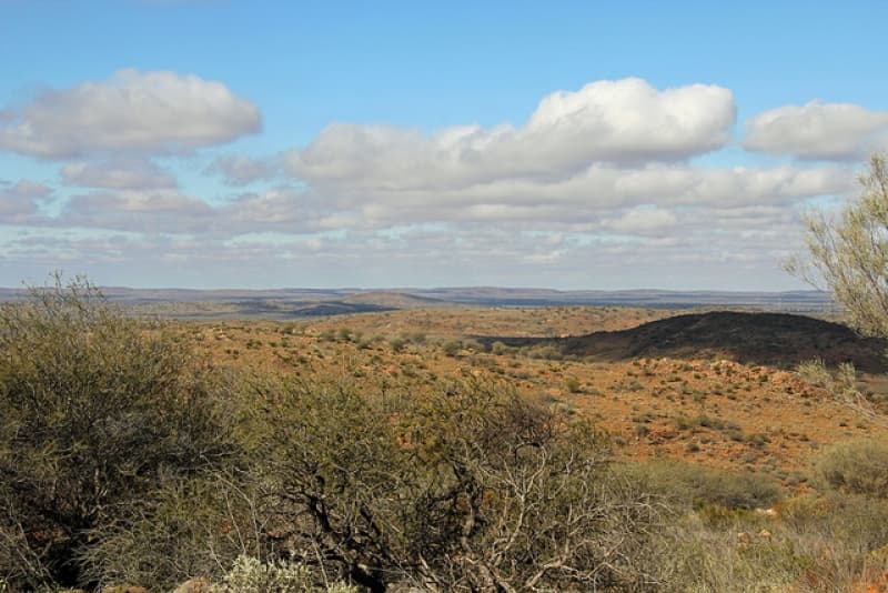 How climate change is effecting Broken Hill’s agricultural industries