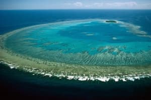 Can we save the Reef?