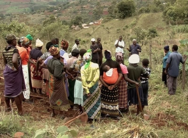 How permaculture shaped the face of Zimbabwe
