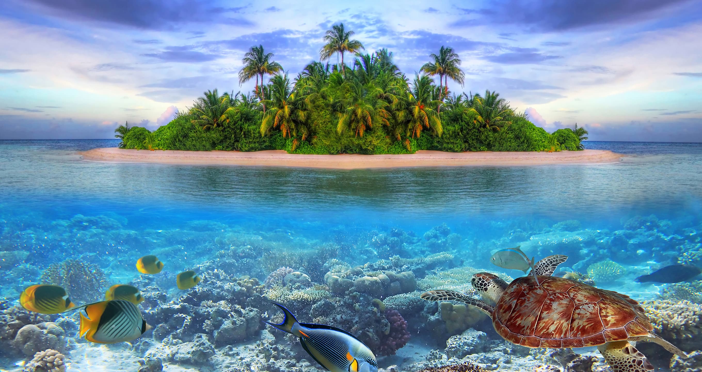 Lonely Island: An Outcast’s Paradise