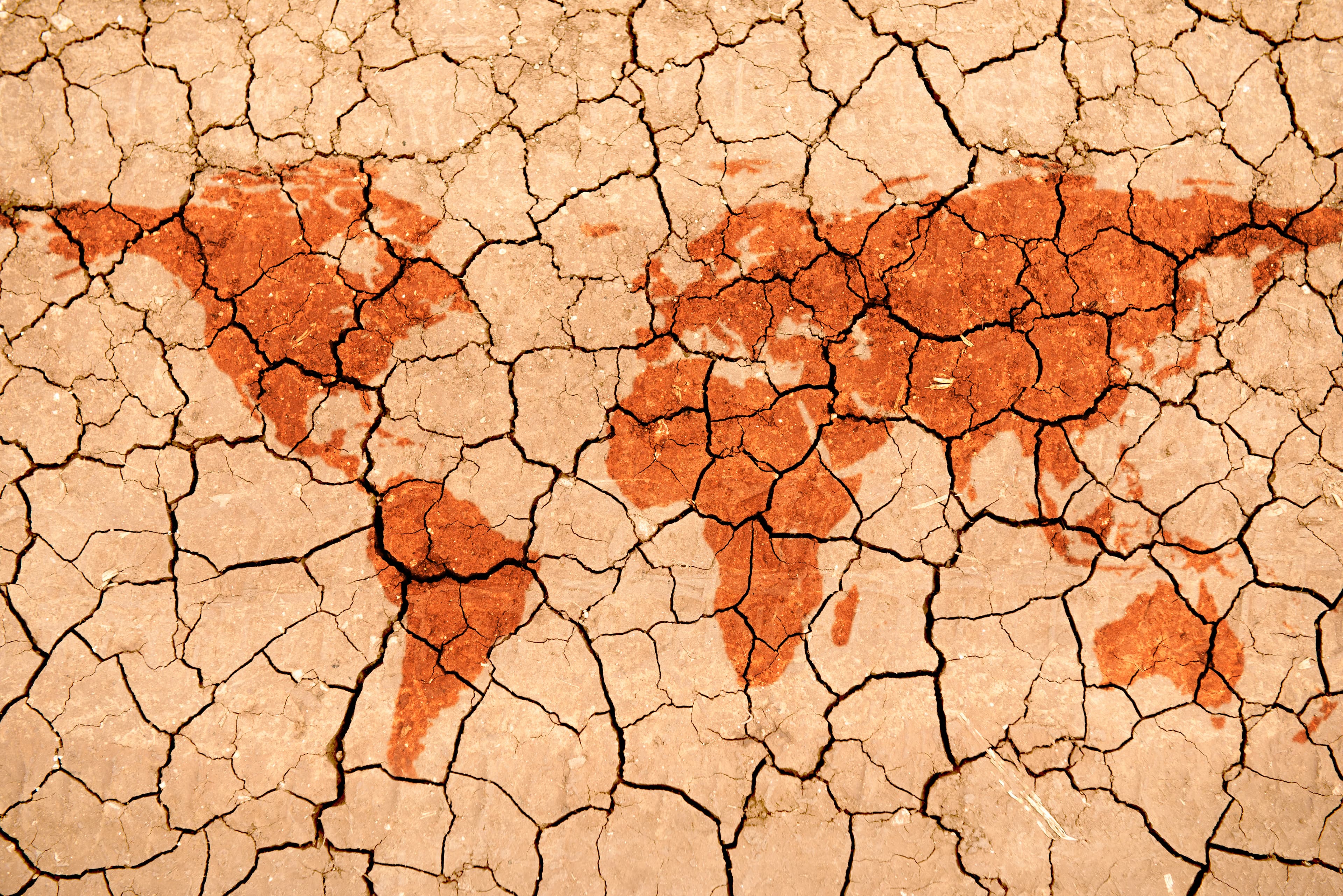 Soil Degradation