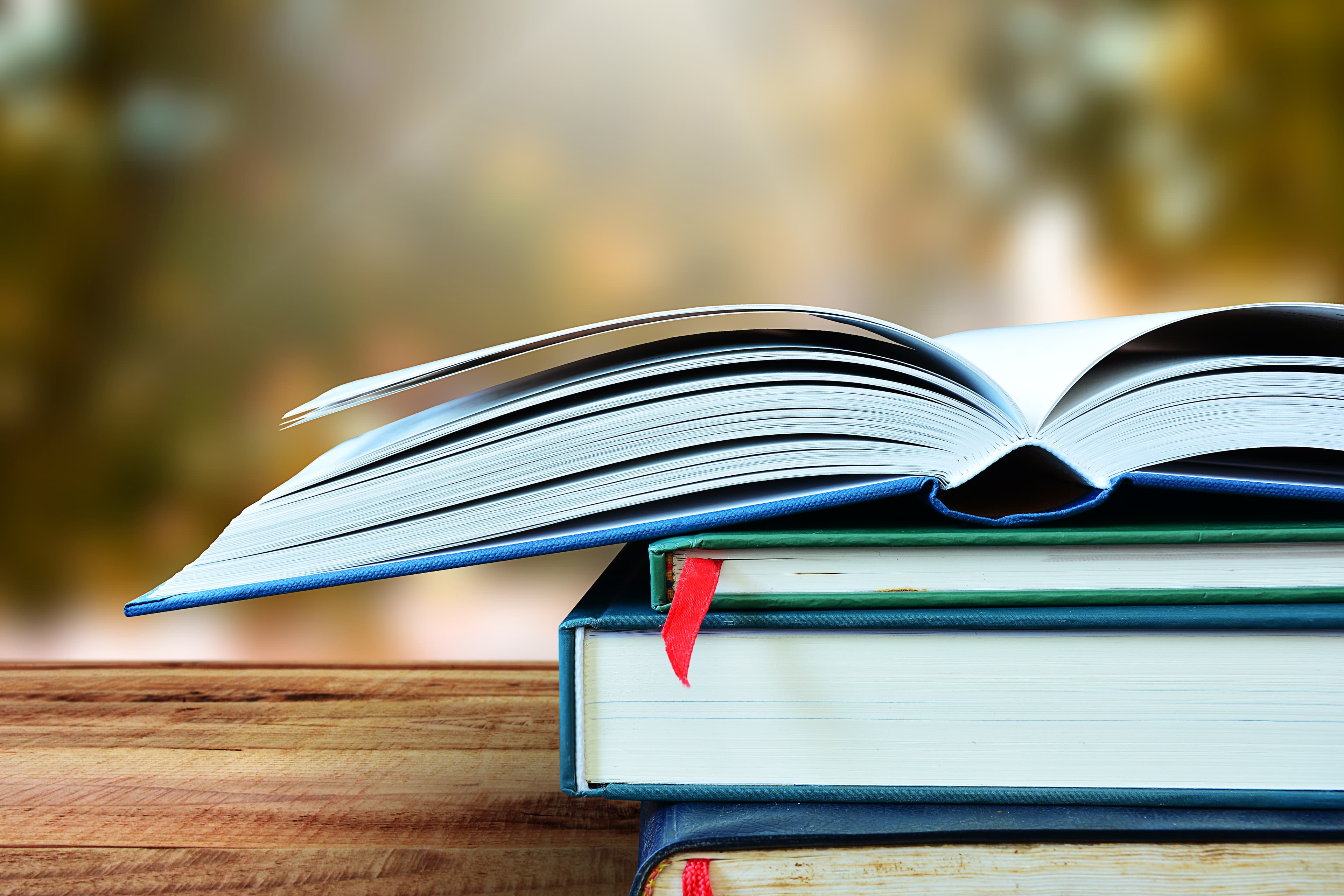 Rise in Paper Book Sales