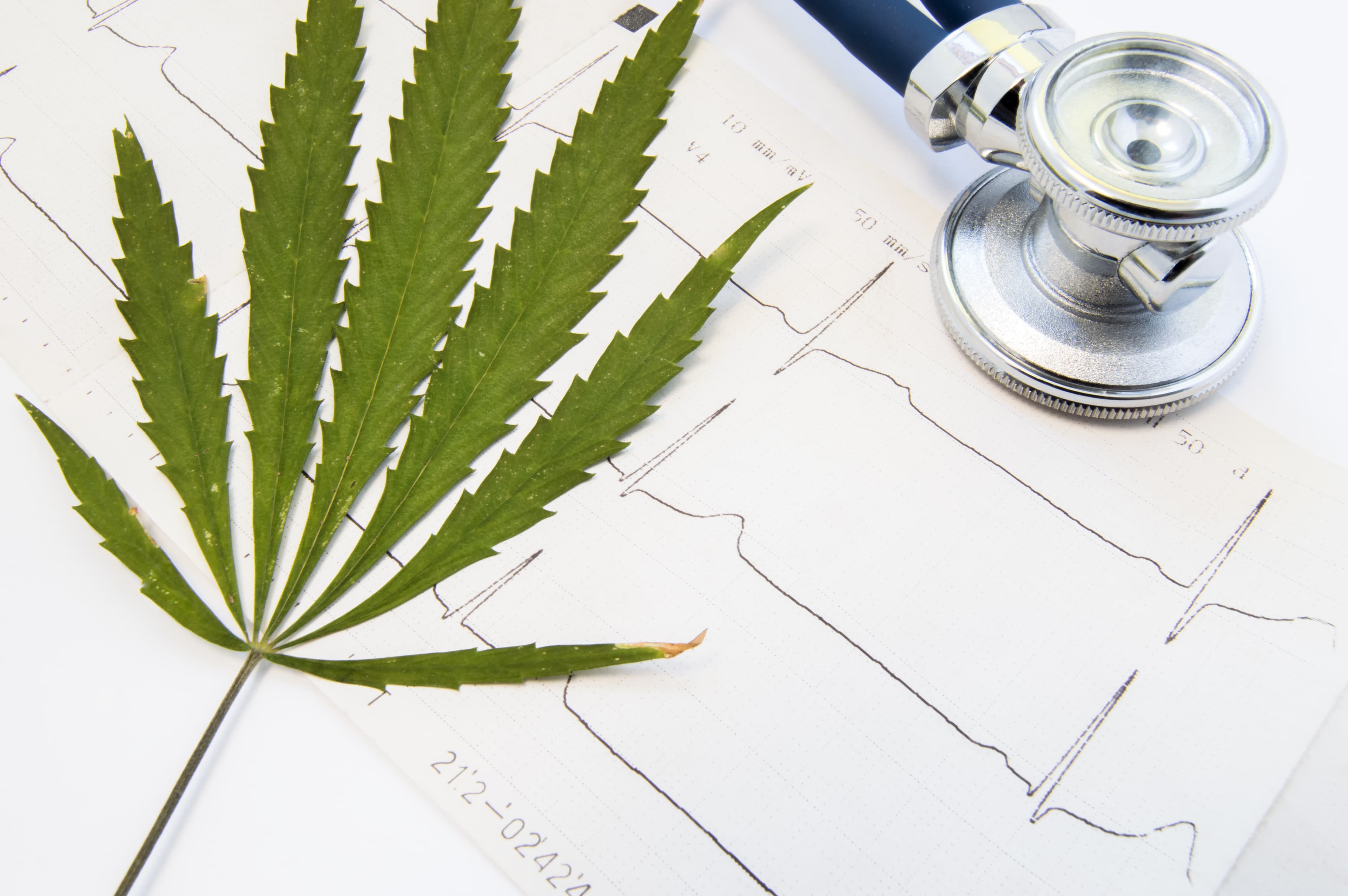 New research into the effects of Medicinal Cannabis on Epilepsy