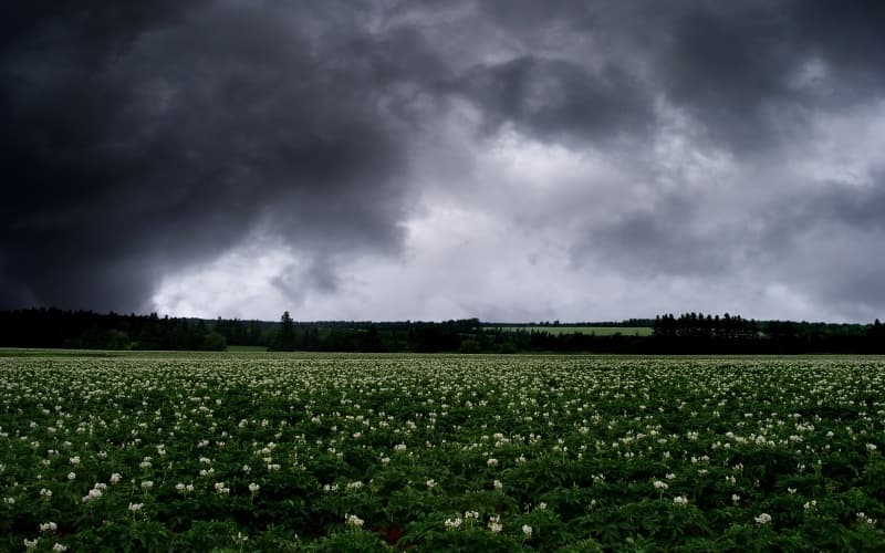 Could thunderstorm asthma worsen with climate change?