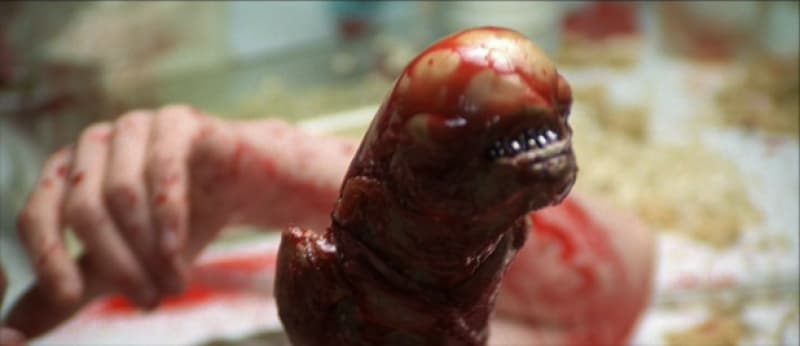 Homicidal wasps = badass biological control agents