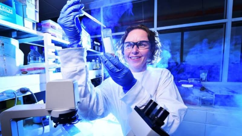 Bats – the answer to immunity?