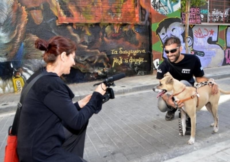 Dignity, hope and stray dogs