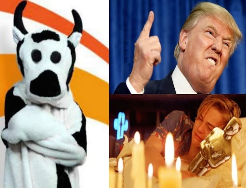 I can’t believe it’s (not) news! Cash Cow shock, Leo and his Oscar & the American Election