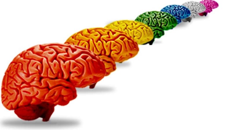 Neurodiversity and the pathologisation of difference