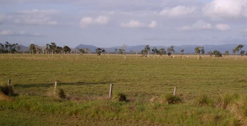 What do farmers make of the GDP numbers?