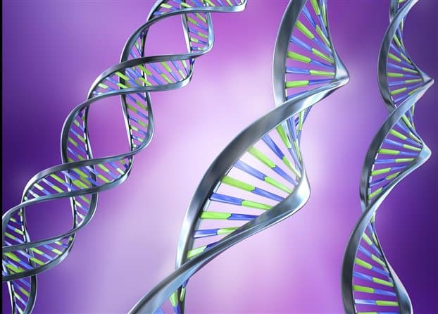 The future of DNA in forensic investigation