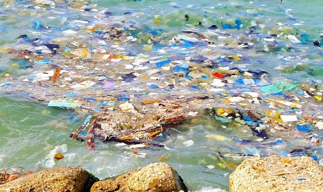Northern Beaches Council tackles plastic pollution