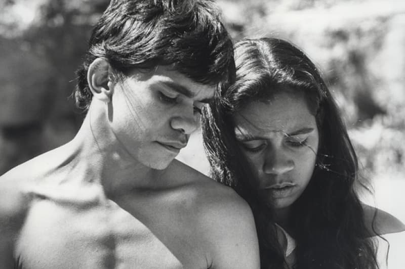 Dictionary of Sydney: Bowiea