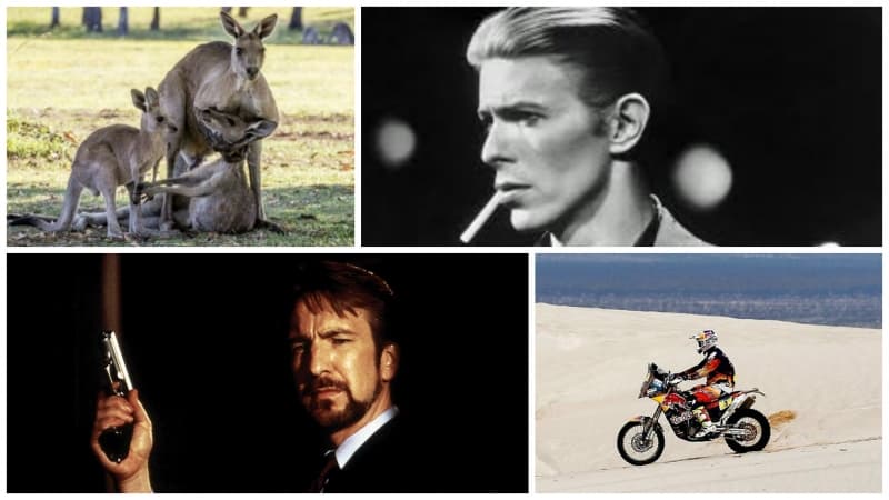 Weekly News Wrap with Mick!