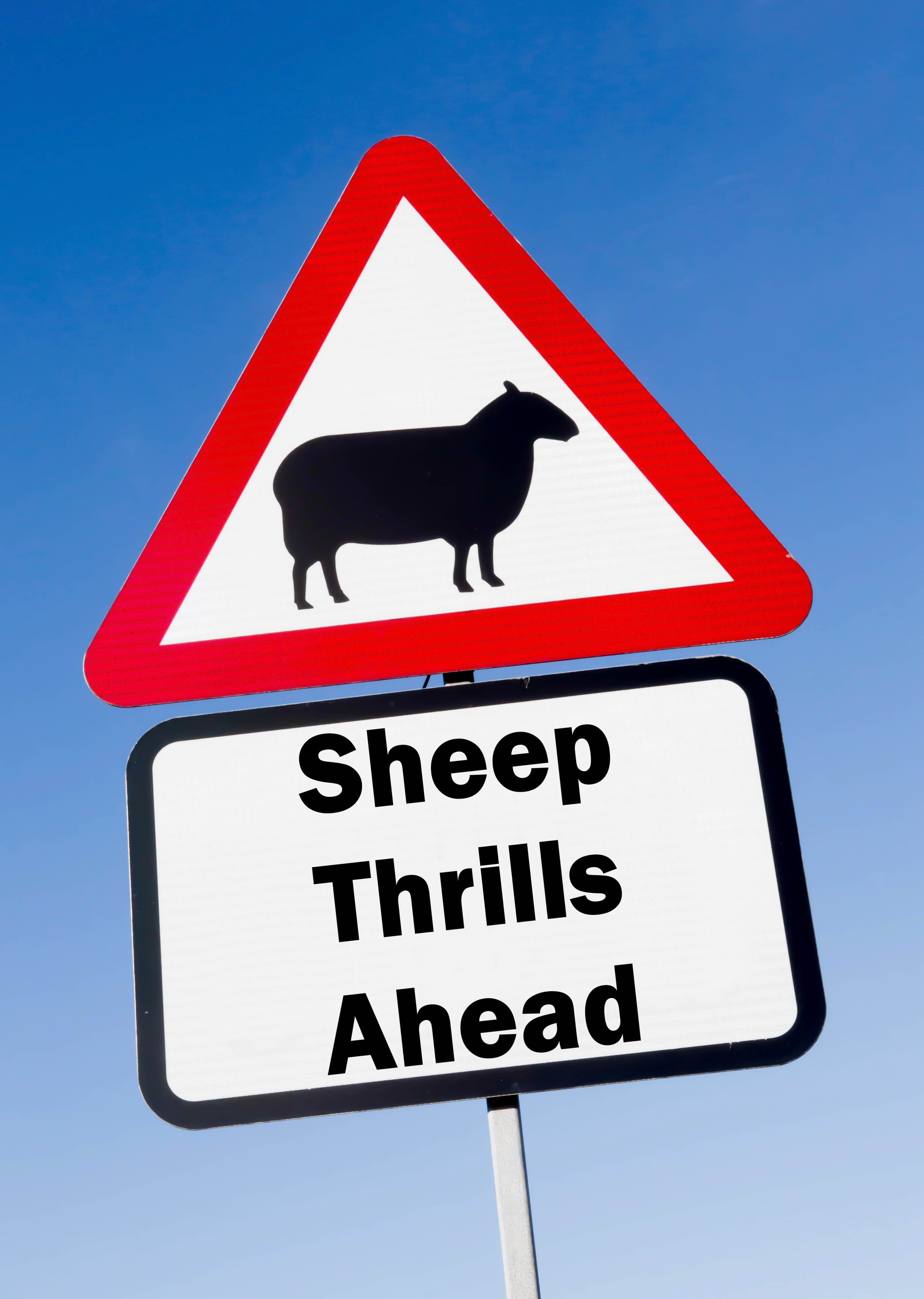 Cheap Sydney – Low Dosh High Froth