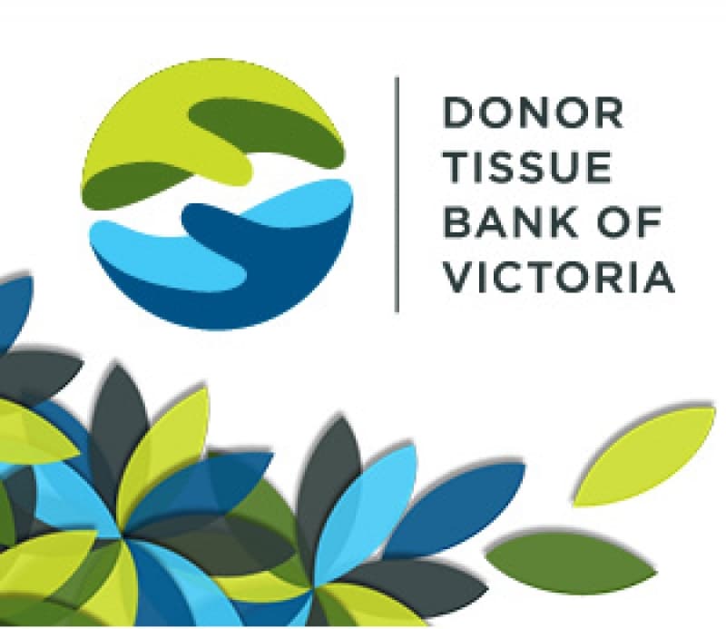 The Tissue Bank and the Skin Shortage