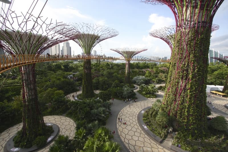Concrete jungles and bringing wildlife back to cities