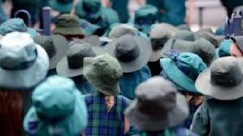 Safety at schools for Children with disabilities