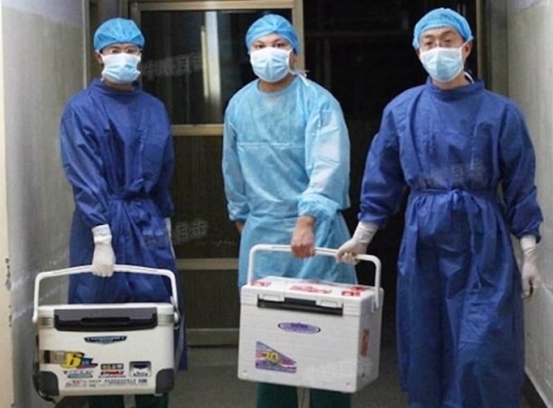 Organ Harvesting in China