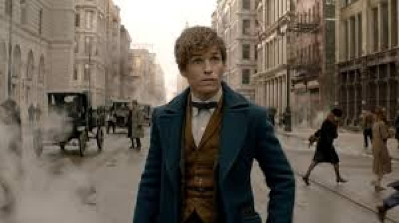 Kevin Suarez Reviews ‘Fantastic Beasts and Where to Find Them’