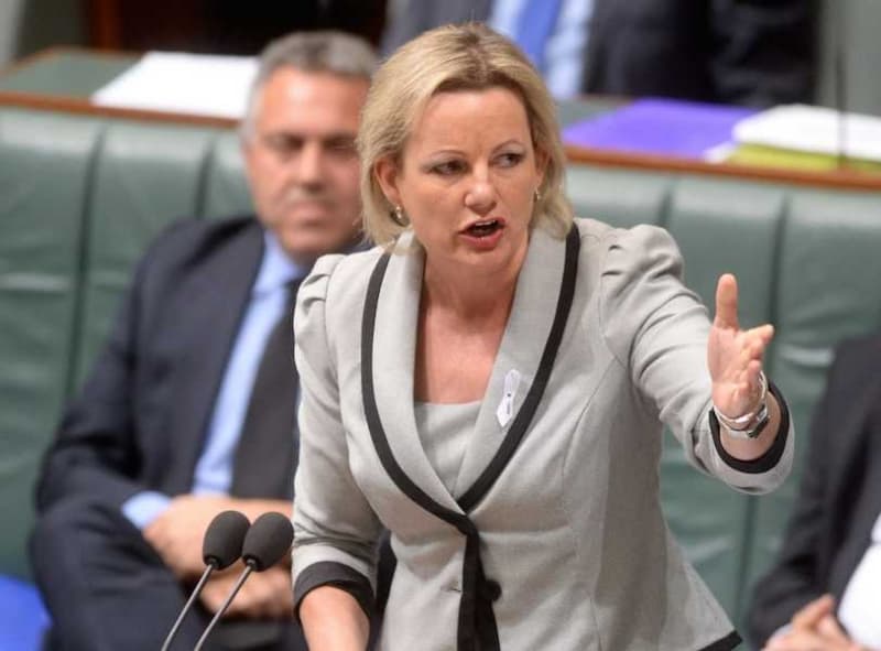 Sussan Ley steps down following taxpayer-funded travel trips