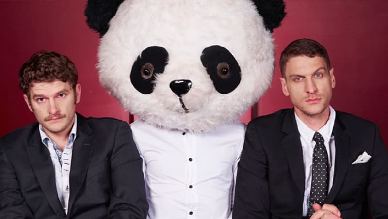 The Bear Pack Are Back