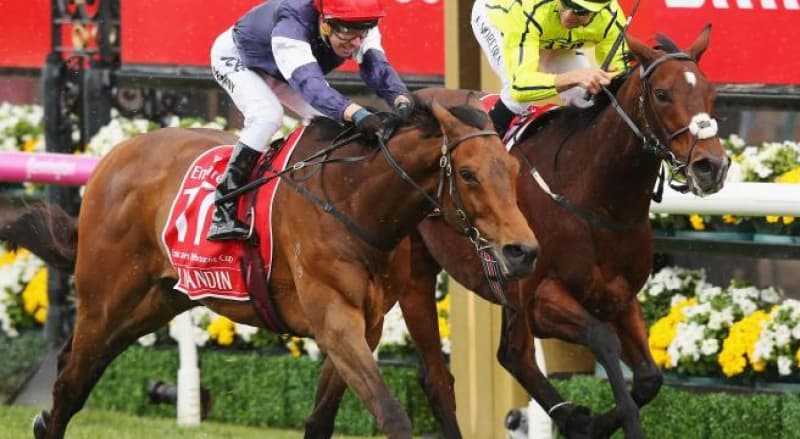 Why can’t we investigate Horse Racing?