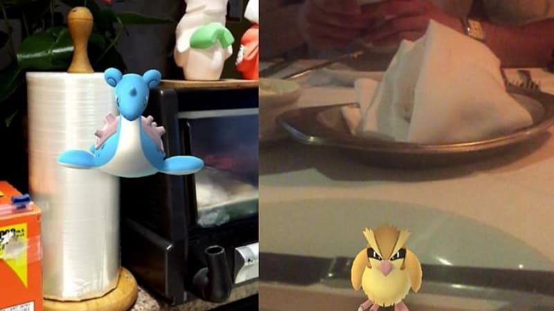 The Weekly Feed – Pokefood!