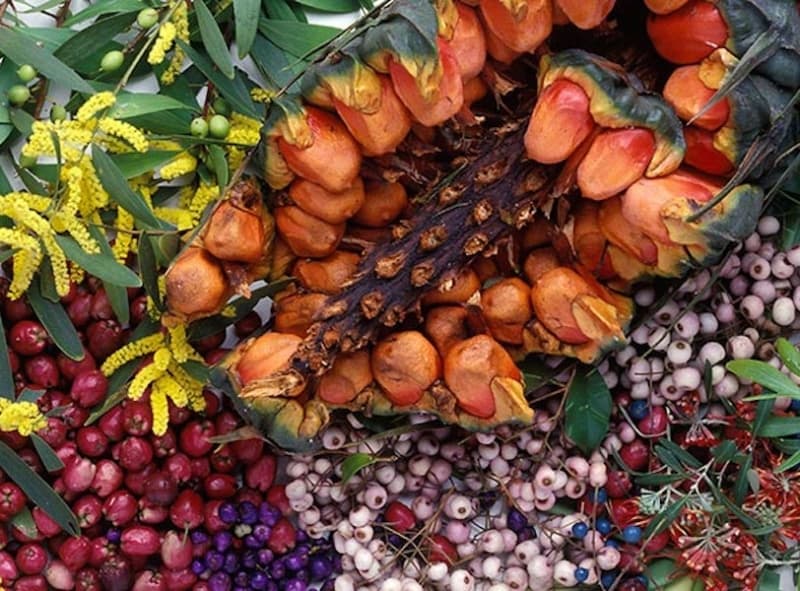 Ingredients That Time Forgot: Native Grains