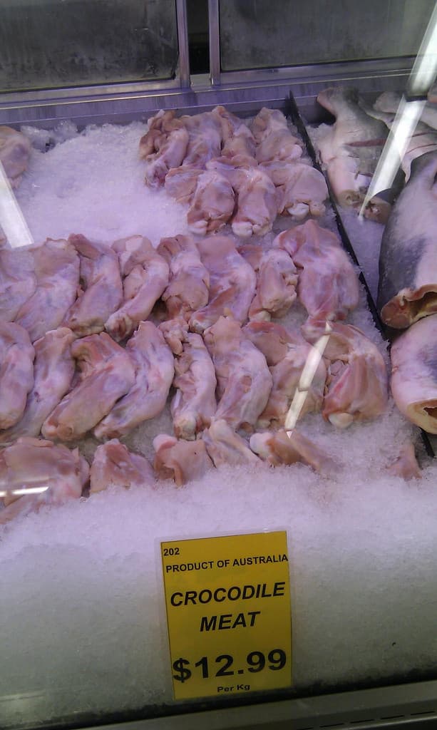 Ever eaten crocodile?