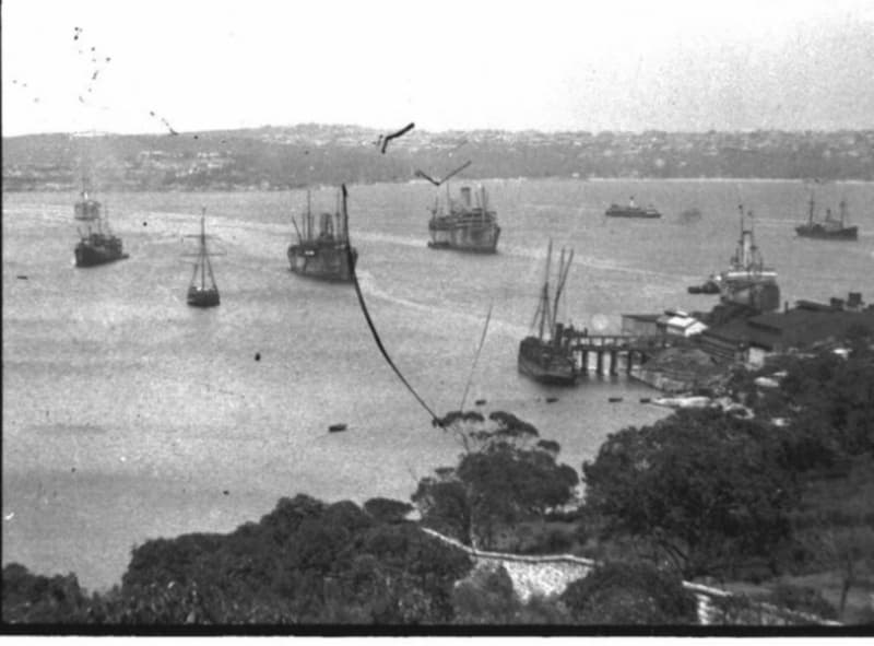 Dictionary of Sydney: The stories of Quarantine Station