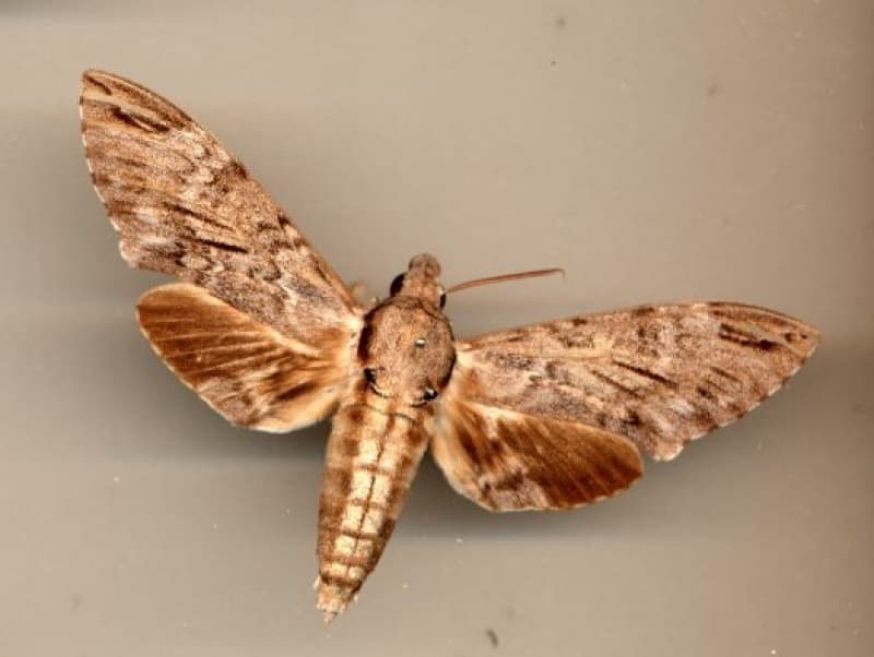 T.W.I.S.T. – This Week in Science Today