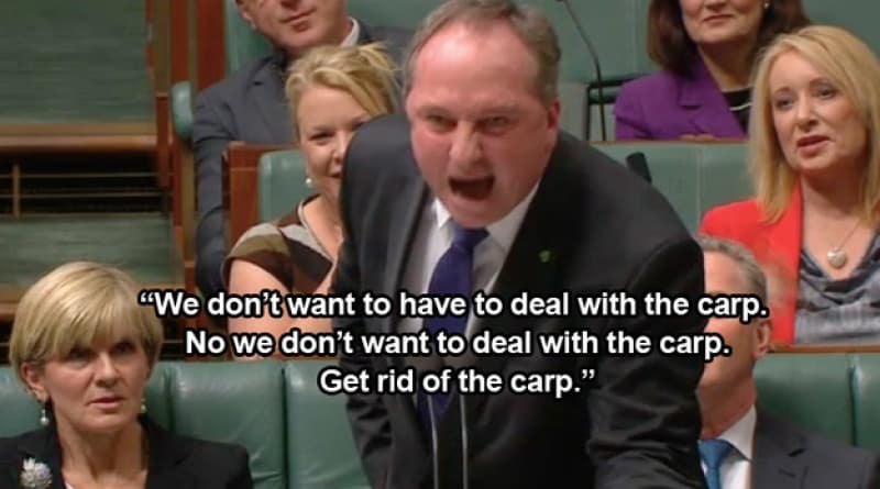 Controlling the carp population with herpes