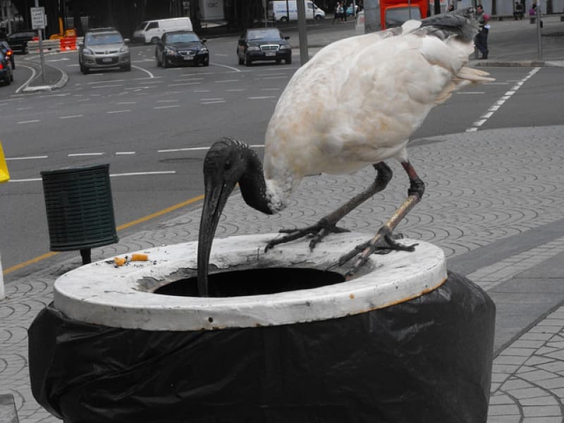 What Day is Today? 21st December