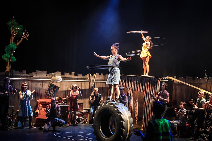 The Flying Fruit Fly Circus