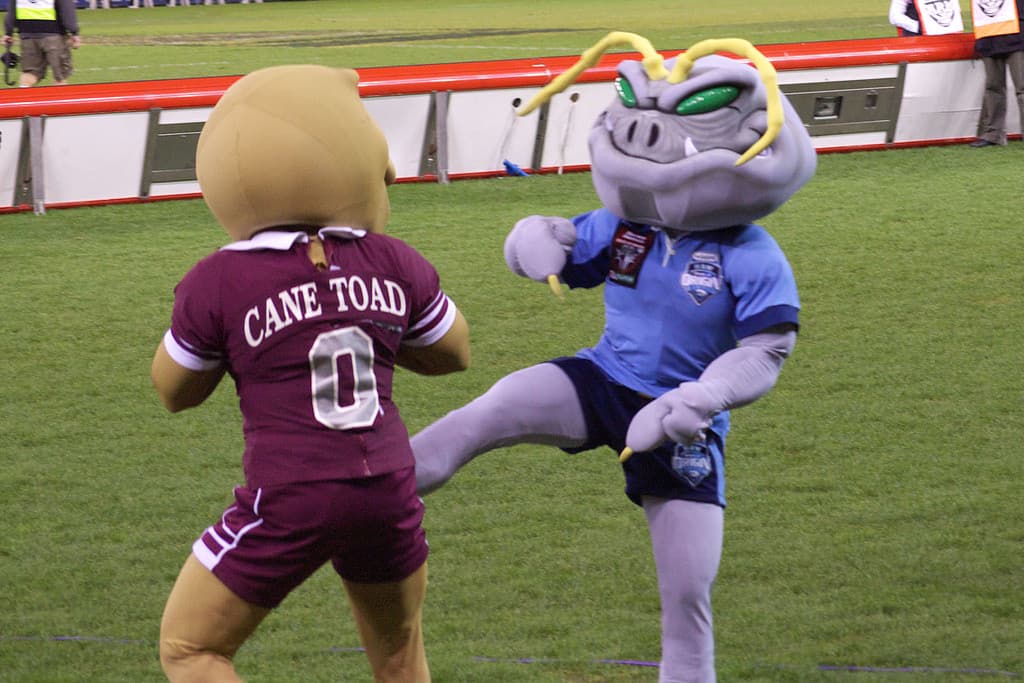 STATE OF ORIGIN – GAME 3 WRAP