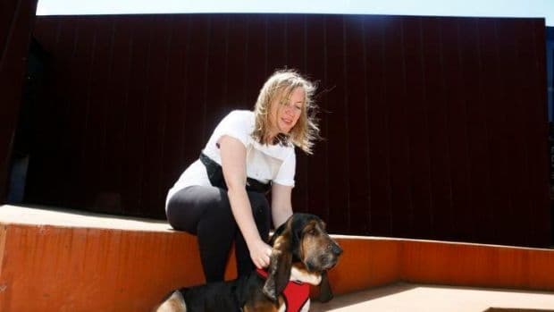 Every Dog Will Have Its Day